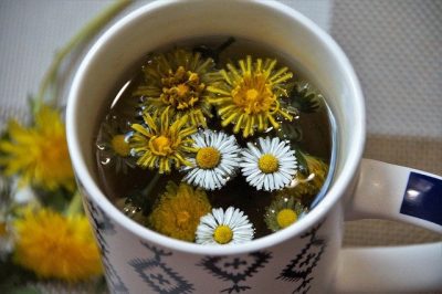 dandelion tea - how to make dandelion tea 