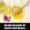 Garlic And Honey health benefits