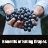 Benefits of eating grapes