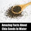 Chia Seeds in water benefits